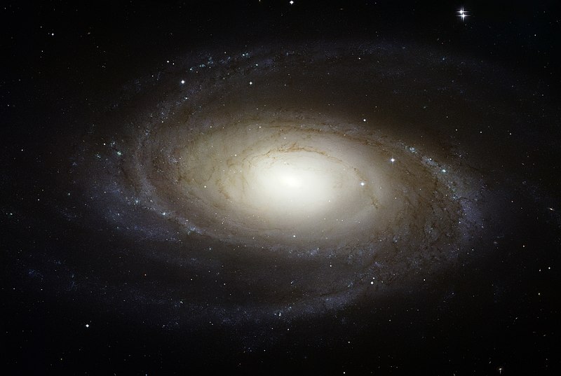 Image of M81