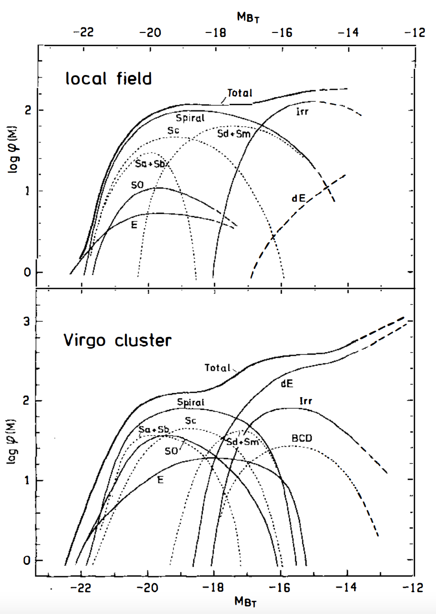 Luminosity function of field and Virgo-cluster galaxies, split by morphological type (from Binggeli et al. 1988)