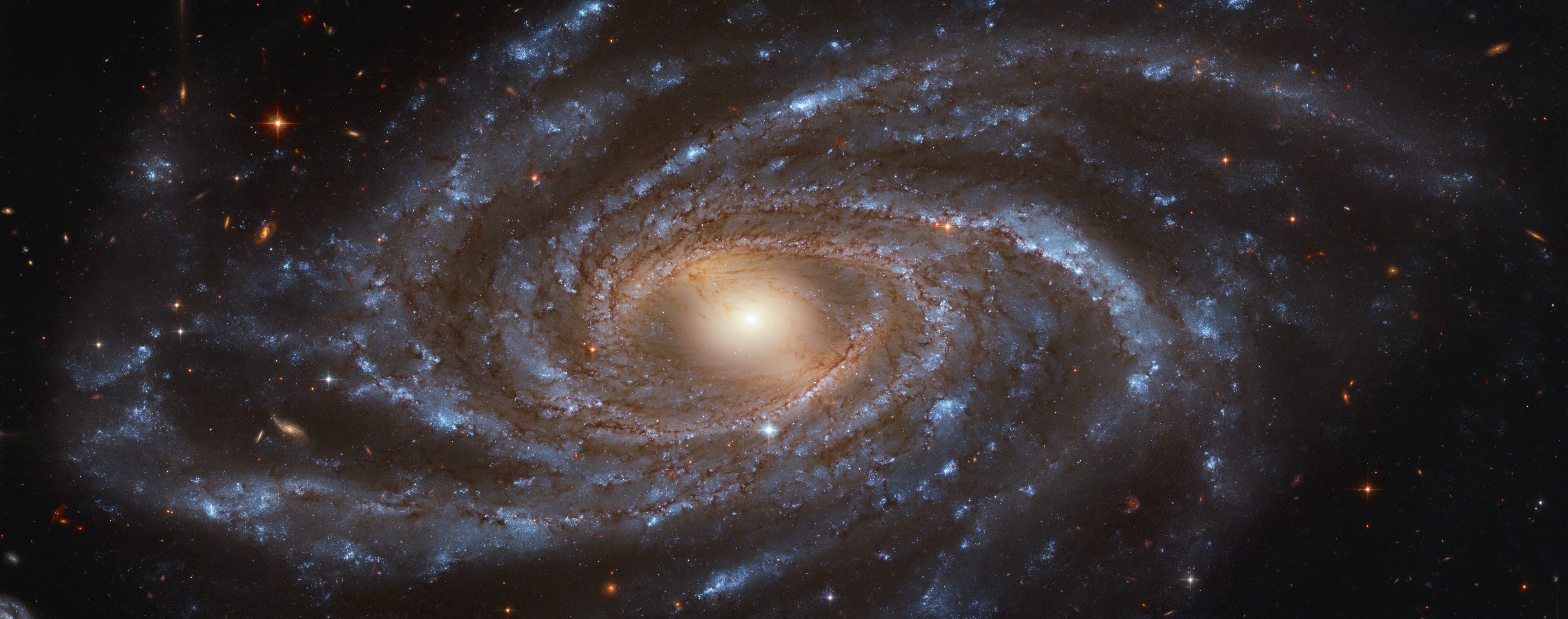 NGC 2336, a barred galaxy with an inner ring separating the bar and spiral structure