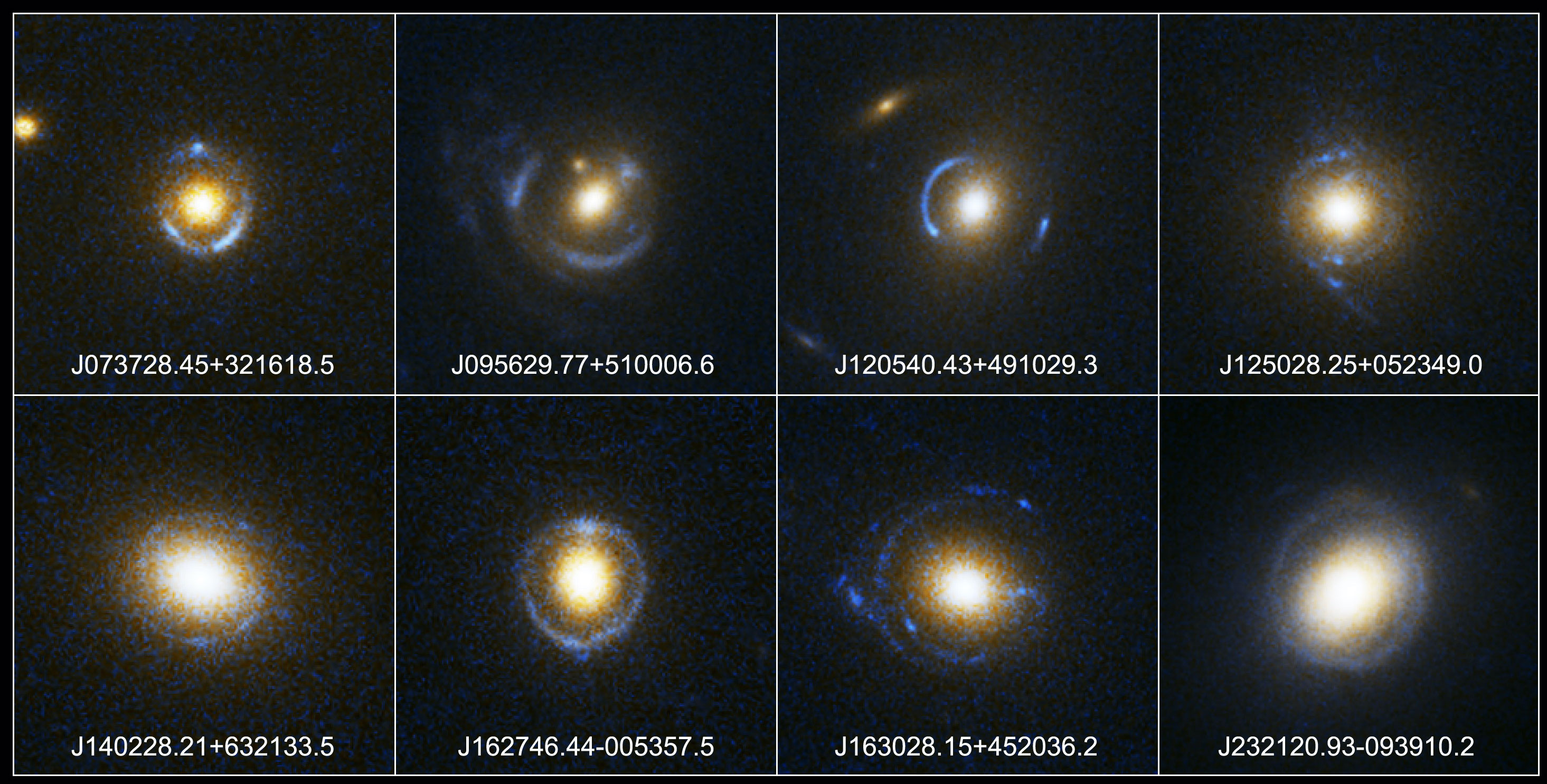 A gallery of Einstein rings from the SLACS survey